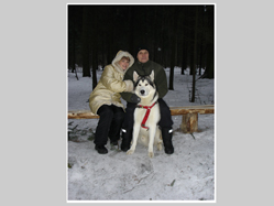 Аляскинский маламут, продажа щенков аляскинского маламута, фотографии собак, - сайт WWW.MELDOGS.NAROD.RU